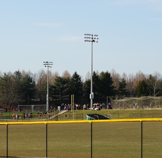 A sports field with a group of people engaging in athletic activities in the background. There is sports equipment like a soccer goal and a scoreboard visible. A chain-link fence runs across the foreground, and a statue or sculpture resembling an eagle is also seen. Trees and tall floodlights are positioned behind the field.